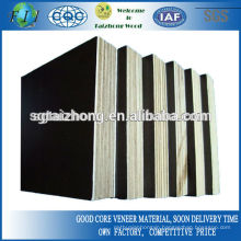 Melamine Glue Film Faced Plywood